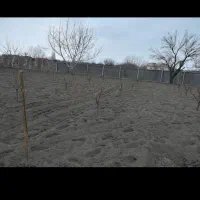 شخم زنی علف زنی باغ باغچه|خدمات باغبانی و درختکاری|ارومیه, |دیوار