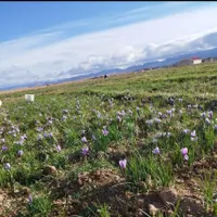 فروش خانه ویلایی ۵۰۰ متری در ایران|فروش خانه و ویلا|تهران, ایران|دیوار