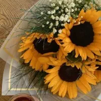 مدارک گم شده