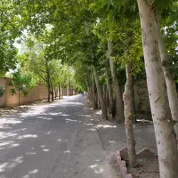 باغ-و-زمین-تا-1000-هکتار-شهریار-ملارد-تهران