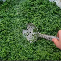 سبزی خوروش تازه|خوردنی و آشامیدنی|داراب, |دیوار