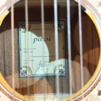 گیتار پارسی M5|گیتار، بیس، امپلیفایر|اصفهان, سروستان|دیوار