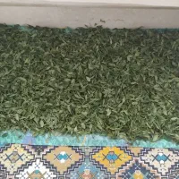 چای دستی