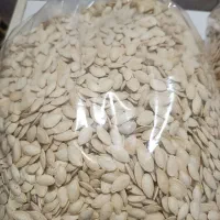 فروش تخمه عمده  و کاپوچینو گوددی|خوردنی و آشامیدنی|شیراز, شهرک مدرس|دیوار