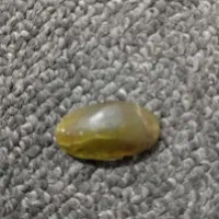 سنگ|جواهرات|اردکان, |دیوار