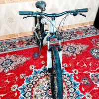 دوچرخه ویوا دنده ای|دوچرخه، اسکیت، اسکوتر|شیروان (خراسان), |دیوار