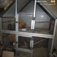 قفسه عروس هلندی دوطبقه کشویی کف پایین کشویی