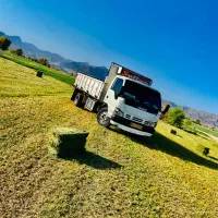یونجه|لوازم جانبی حیوانات|جاسک, |دیوار