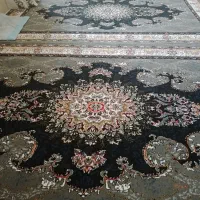 ۴عدد فرش ۶متری نو در اشتهارد|فرش|اشتهارد, |دیوار