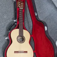 گیتار دستساز دوستی به همراه هارد کیس