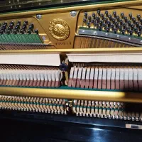 انواع پیانو اکوستیک|پیانو، کیبورد، آکاردئون|بندرعباس, |دیوار