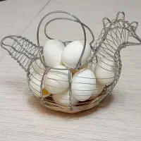 جای تخم مرغ