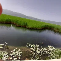 ۵۰۰ متر زمین شهر مهاجران روستای ریز