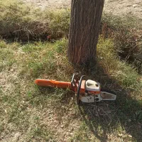 خریدار چوب بیشه و ضایعات