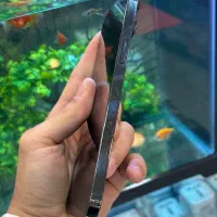 13pro max|موبایل|شیراز, زند|دیوار