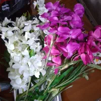 گلهای خارجی