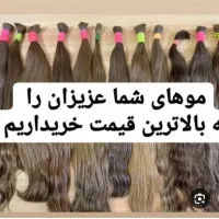 فروش موخریدار مویشما با بهترین قیمت