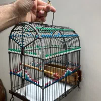 قفس دستباف سهره