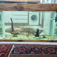 آکواریوم با تمام تجهیزات