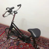 دوچرخه ثابت|تجهیزات ورزشی|یزد, |دیوار