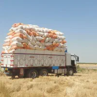 کاه گندم کرمانشاه، کاه گندم زنجان