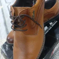 کفش مجلسی|کیف، کفش، کمربند|بهبهان, |دیوار