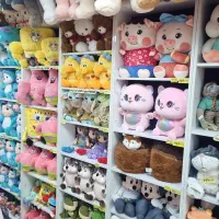 فروشنده خانم برای کار عروسک و اسباب بازی