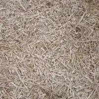 کاه کوبیده گندم|لوازم جانبی حیوانات|انبارآلوم, |دیوار