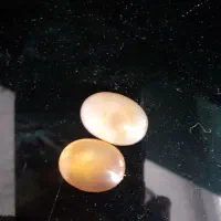 دوعددسنگ عقیق