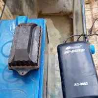 آکواریوم.بزرگ|ماهی|ارومیه, |دیوار