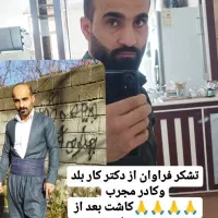 کاشت مو ابروبابروزترین متدروزدنیا|خدمات آرایشگری و زیبایی|خوی, |دیوار