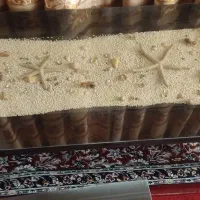 میزعسلی یاجلومبلی