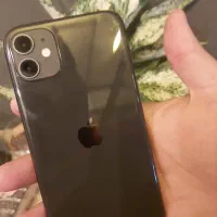 ایفون ۱۱|موبایل|مشهد, کوی سیدی|دیوار