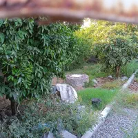 فروش زمین مسکونی در حسین آباد سرخرود مازندران|فروش زمین و ملک کلنگی|فریدون‌کنار, |دیوار