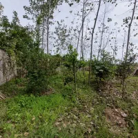 ۵۰۰ متر زمین (۲۳۰ متر مسکونی الباقی باغی)