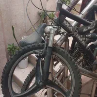 دوچرخه ماکسیما رینگ دار