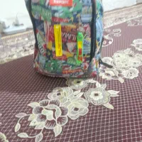 کیف کاملا نو|کیف، کفش، کمربند|شیراز, تندگویان|دیوار