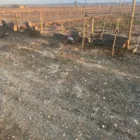 زمین240متری-زعفرانیه