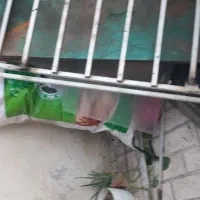 باربندسمنددست ساز خیلی محکم