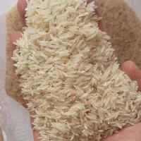 عمده فروشی برنج|خوردنی و آشامیدنی|سرخنکلاته, |دیوار