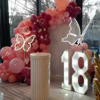 فینگر فود بادکنک آرایی اجاره باغ فینگرفود دیجی|خدمات پذیرایی، مراسم|اصفهان, بهارستان|دیوار