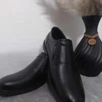 کالج مجلسی مردانه