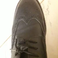 کفش شیما|کیف، کفش، کمربند|اردبیل, |دیوار