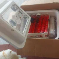 دستگاه جوجه کشی ایزی باتور 2 ، باظرفیت 96 عددی|لوازم جانبی حیوانات|املش, |دیوار