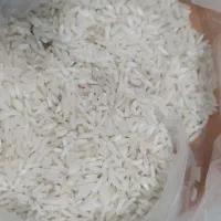 برنج هاشمی درجه یک ۱|خوردنی و آشامیدنی|محمدیه-قزوین, |دیوار