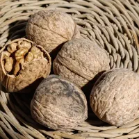 گردو درجه ۱ صادراتی