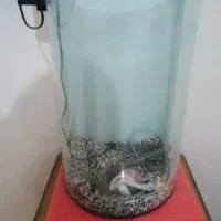 آکواریوم منحنی بزرگ