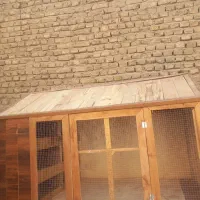 گنجه چوبی کبوتر