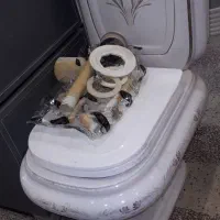 توالت فرنگی تعمیر همه مدلها|لوازم سرویس بهداشتی|شیراز, پارک آزادی|دیوار