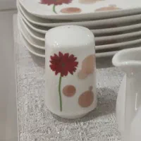 سرویس چینی در حد|ظروف سرو و پذیرایی|پاکدشت, پاکدشت (مامازند)|دیوار